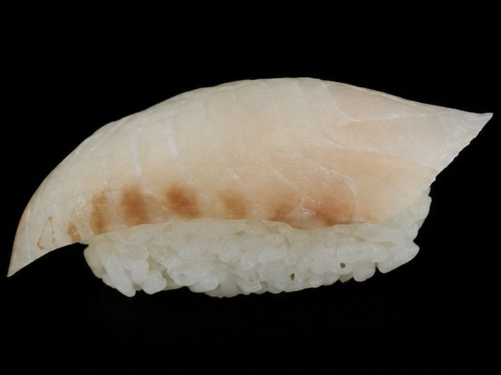 Red Snapper
