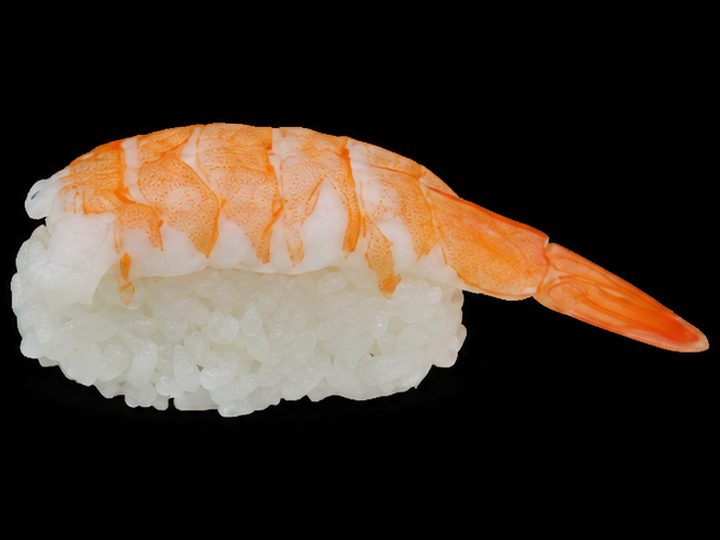 Shrimp
