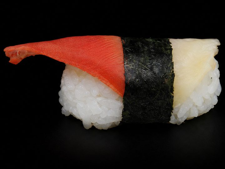 Surf Clam
